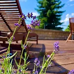 Terrace Prémium Belváros Jacuzzival * Veszprém