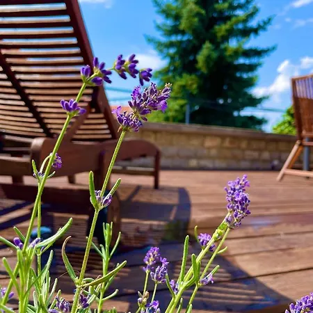 Terrace Premium Belvaros Jacuzzival * Veszprém