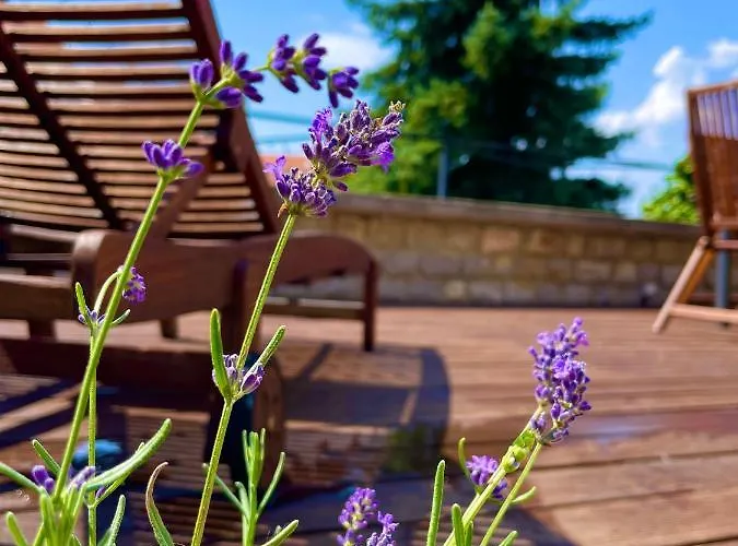 Terrace Premium Belvaros Jacuzzival * Veszprém